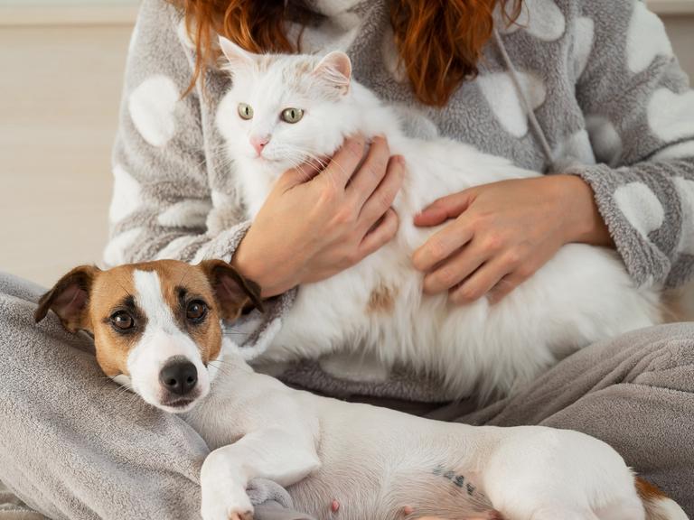 Eine Frau mit langen roten Haaren im grauen Pyjama sitzt im Schneidersitz und hält eine weiße Katze und einen kleinen Jack Russell Terrier im Arm.