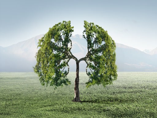 Das Cover zur Sendereihe "Tag für Tag" zeigt einen gezeichneten Baum, dessen Krone sich in zwei Hälften aufspaltet. Die Hälften erinnern an zwei Lungenflügel oder auch die Flügel eines Engels.