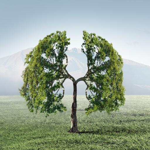 Das Cover zur Sendereihe "Tag für Tag" zeigt einen gezeichneten Baum, dessen Krone sich in zwei Hälften aufspaltet. Die Hälften erinnern an zwei Lungenflügel oder auch die Flügel eines Engels.