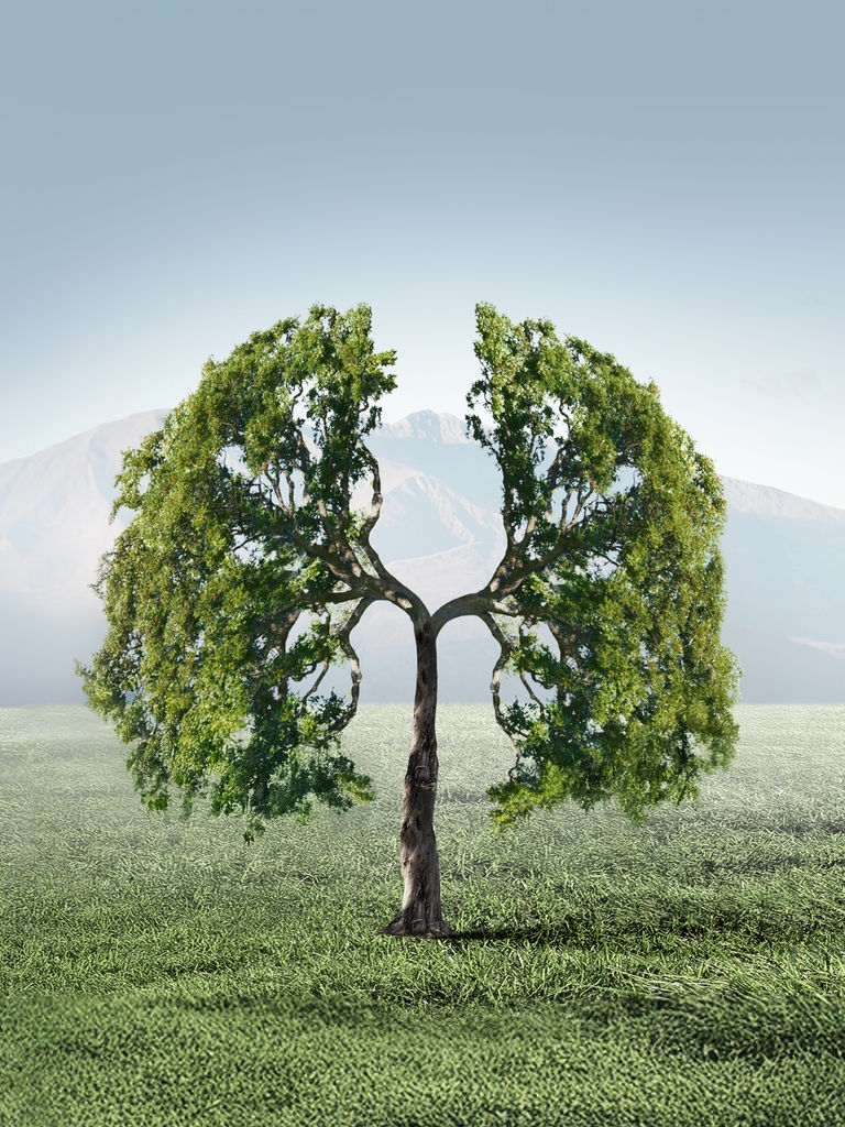 Das Cover zur Sendereihe "Tag für Tag" zeigt einen gezeichneten Baum, dessen Krone sich in zwei Hälften aufspaltet. Die Hälften erinnern an zwei Lungenflügel oder auch die Flügel eines Engels.