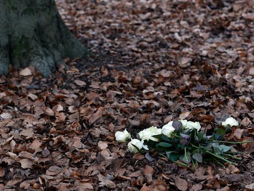 12.02.2019, Nordrhein-Westfalen, Herten: Weiße Rosen liegen vor einem Baum im Friedwald Ruhestätte Natur. Hier kann man sich anonym in einer Urne unter einem Baum bestatten lassen.