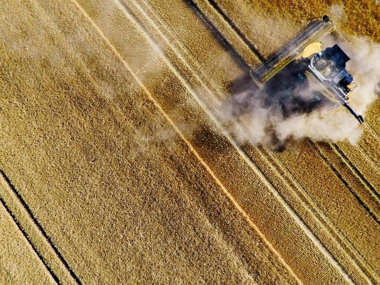 Gerstenernte nach wochenlanger Trockenheit in Erfurt. Neben der Erntemaschine ist viel Staub zu sehen.