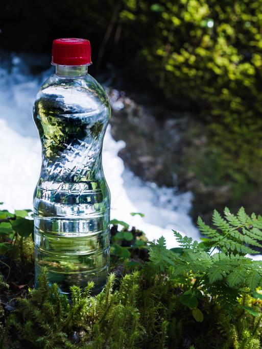 Eine Flasche mit sauberem Wasser mit rotem Deckel steht im Gras und Moos vor dem Hintergrund eines klaren Bergflusses. 