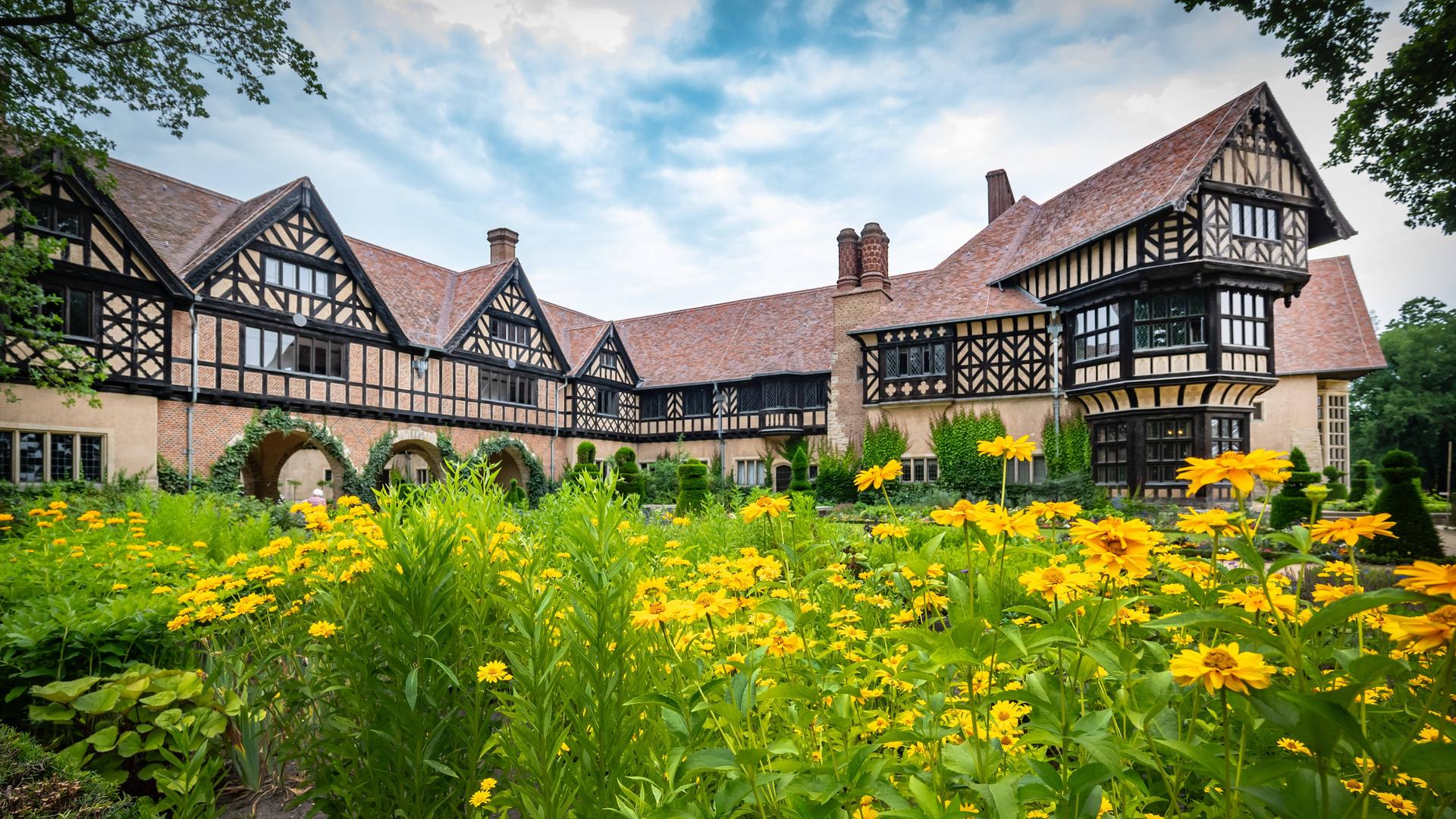 Im Vordergrund des Bildes sind Sonnenblumen mit grünen Stengeln und hellgeben Blüten. Im Hintergrund ist das Schloss Cecilienhof zu sehen. Die Anlage ist aus Ziegeln gebaut und erinnert mit den sichtbaren Holzbalken im Gemäuer an Fachwerkhäuser. Im Vordergrund des Bildes sind Sonnenblumen mit grünen Stengeln und hellgeben Blüten. Im Hintergrund ist das Schloss Cecilienhof zu sehen. Die Anlage ist aus Ziegeln gebaut und erinnert mit den sichtbaren Holzbalken im Gemäuer an Fachwerkhäuser.